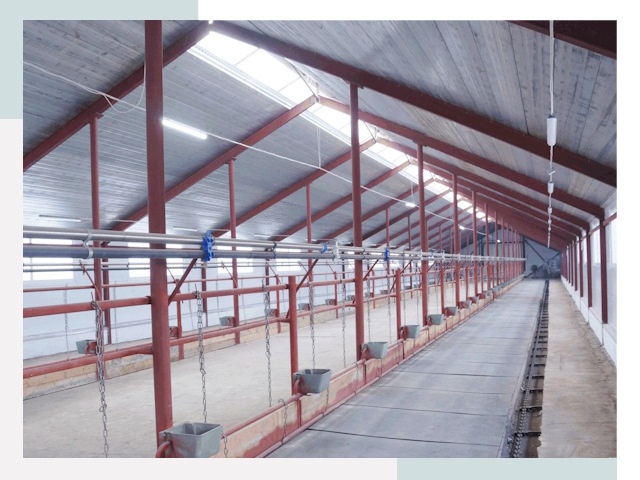 Строительство коровников в Кургане от 619 руб.