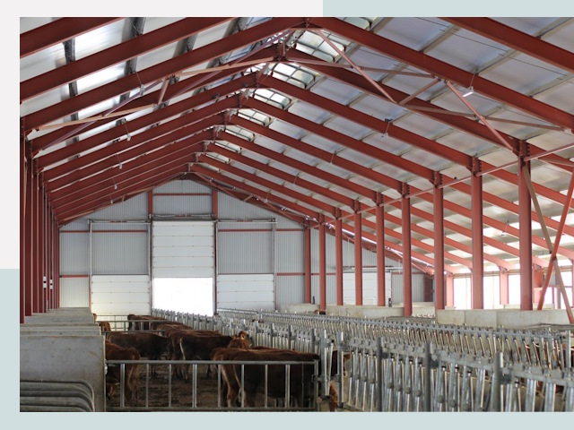 Строительство коровников в Кургане