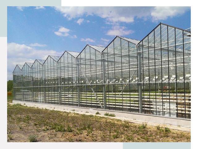 Строительство теплиц в Курган от 619 руб. за м²