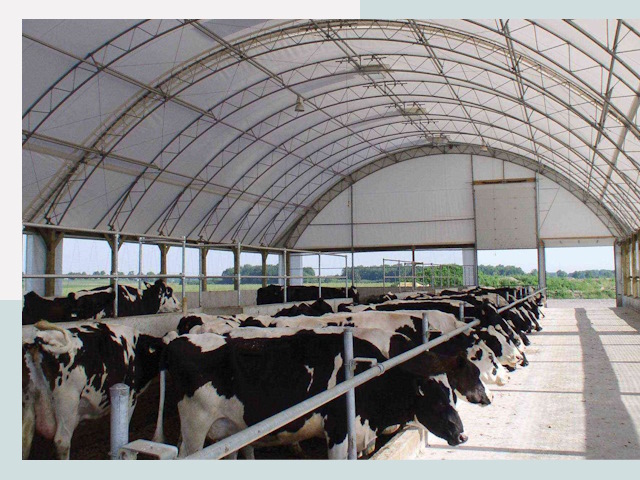 Тентовые коровники в Кургане